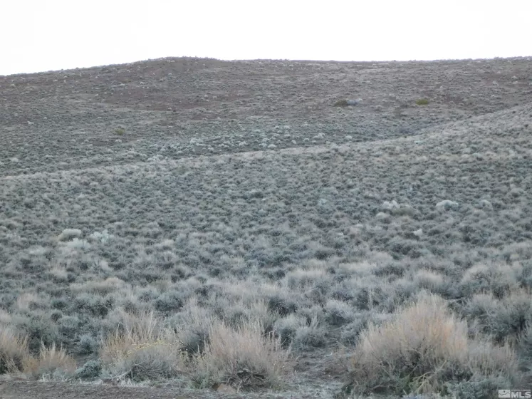 00610106 Schaad, Dayton, Nevada 89403, ,Land,Residential,Schaad,220000573