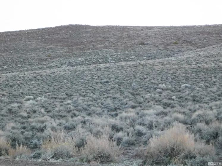 00610106 Schaad, Dayton, Nevada 89403, ,Land,Residential,Schaad,220000573