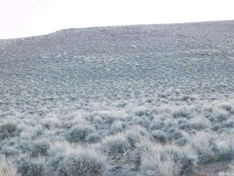 00610106 Schaad, Dayton, Nevada 89403, ,Land,Residential,Schaad,220000573