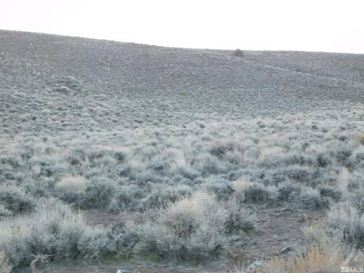 00610106 Schaad, Dayton, Nevada 89403, ,Land,Residential,Schaad,220000573