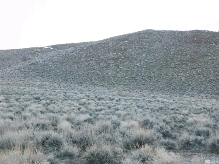 00610106 Schaad, Dayton, Nevada 89403, ,Land,Residential,Schaad,220000573