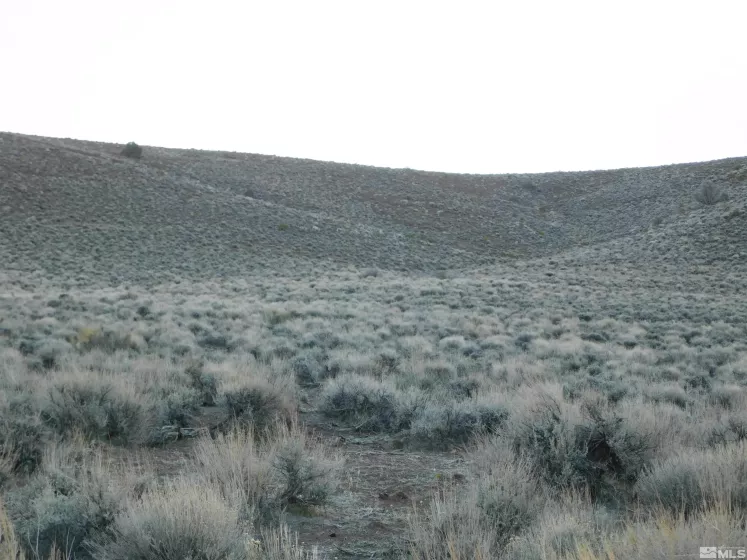 00610106 Schaad, Dayton, Nevada 89403, ,Land,Residential,Schaad,220000573