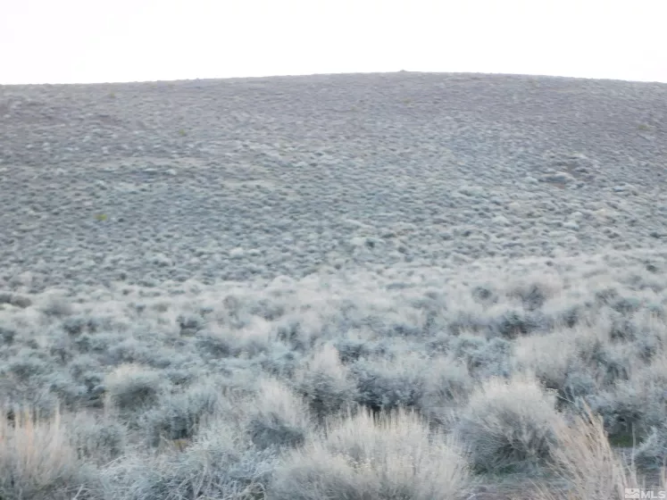 00610106 Schaad, Dayton, Nevada 89403, ,Land,Residential,Schaad,220000573