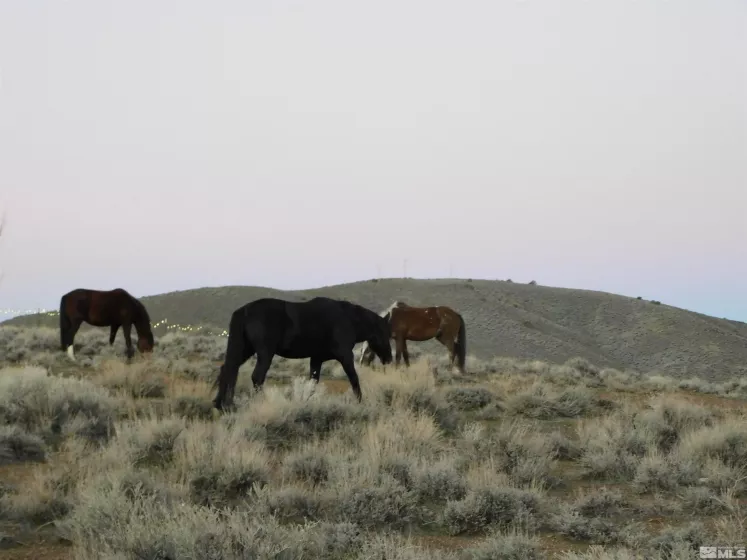 00610106 Schaad, Dayton, Nevada 89403, ,Land,Residential,Schaad,220000573