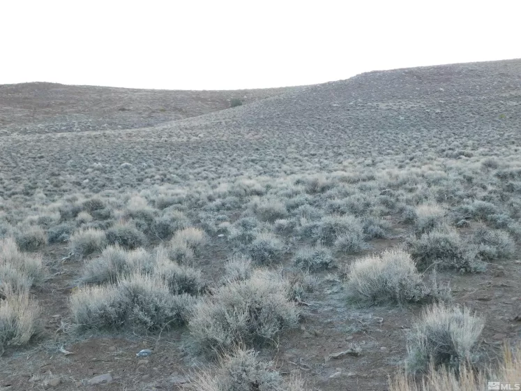 00610106 Schaad, Dayton, Nevada 89403, ,Land,Residential,Schaad,220000573