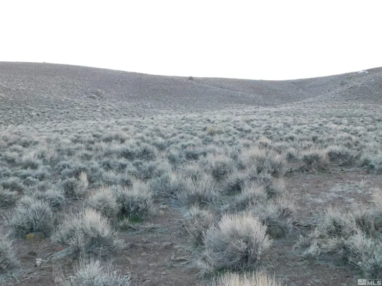 00610106 Schaad, Dayton, Nevada 89403, ,Land,Residential,Schaad,220000573