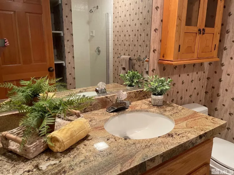 939 Incline, Incline Village, Nevada 89451, 2 Bedrooms Bedrooms, ,2 BathroomsBathrooms,Residential,Residential,Incline,240008903