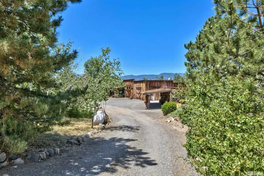 Driveway