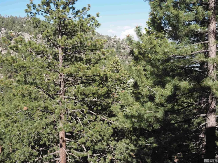 115 Tramway, Stateline, Nevada 89449, 2 Bedrooms Bedrooms, ,2 BathroomsBathrooms,Residential,Residential,Tramway,240006151