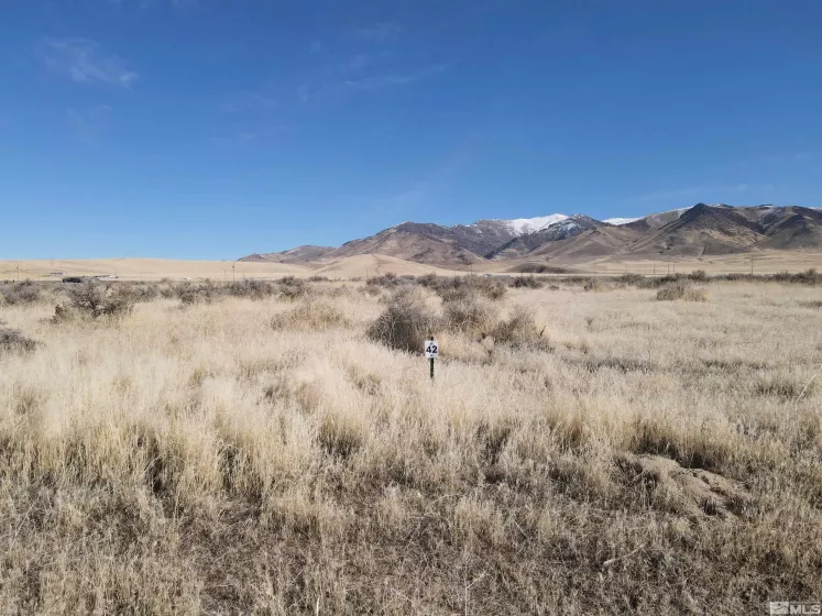 7865 Bea's, Winnemucca, Nevada 89445, ,Land,Residential,Bea's,210011389