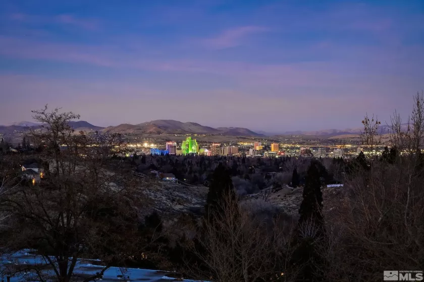 3088 Cashill, Reno, Nevada 89509, 2 Bedrooms Bedrooms, ,3 BathroomsBathrooms,Residential,Residential,Cashill,250000863