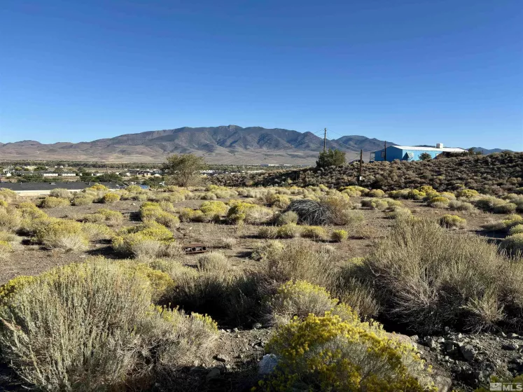 1 Sheep, Dayton, Nevada 89403, ,Land,Residential,Sheep,240015499