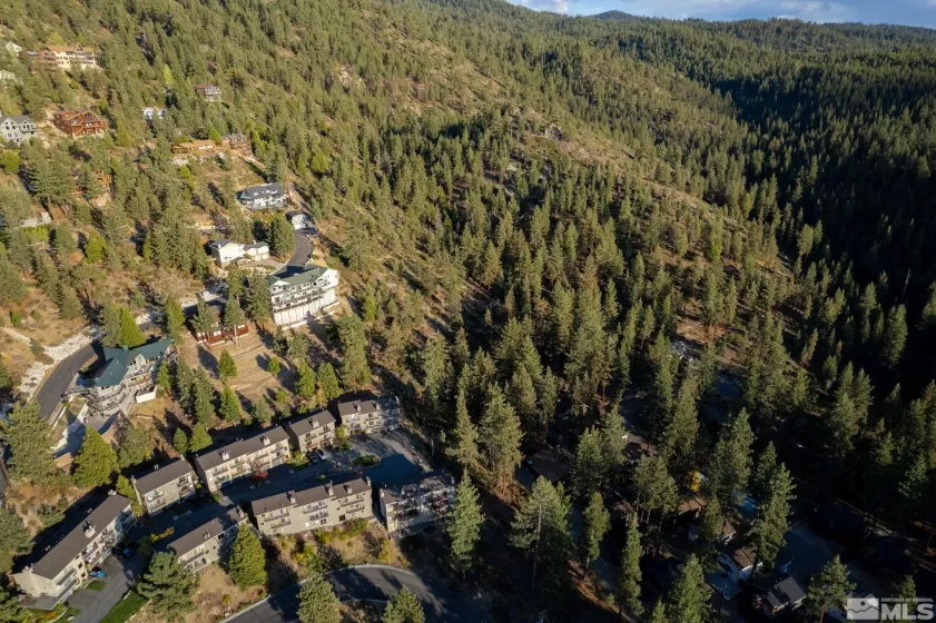 232 Bedell, Glenbrook, Nevada 89413, ,Land,Residential,Bedell,240013011