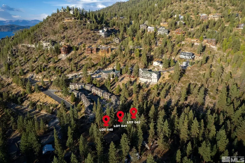232 Bedell, Glenbrook, Nevada 89413, ,Land,Residential,Bedell,240013011