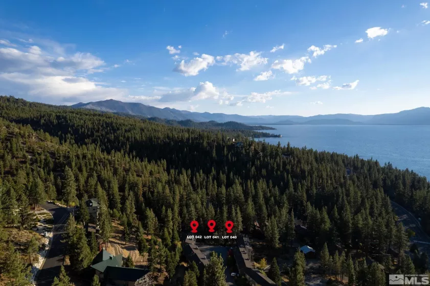 232 Bedell, Glenbrook, Nevada 89413, ,Land,Residential,Bedell,240013011