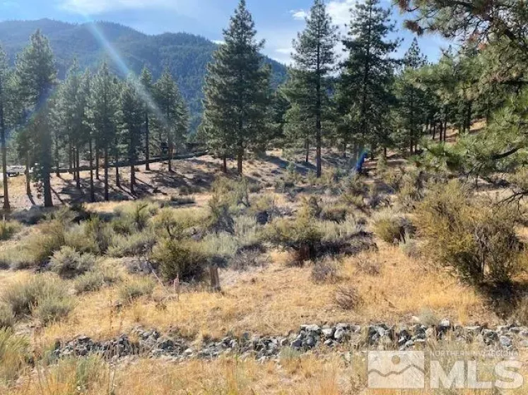 196 Scenic Range, Carson City, Nevada 89705, ,Land,Residential,Scenic Range,240013109