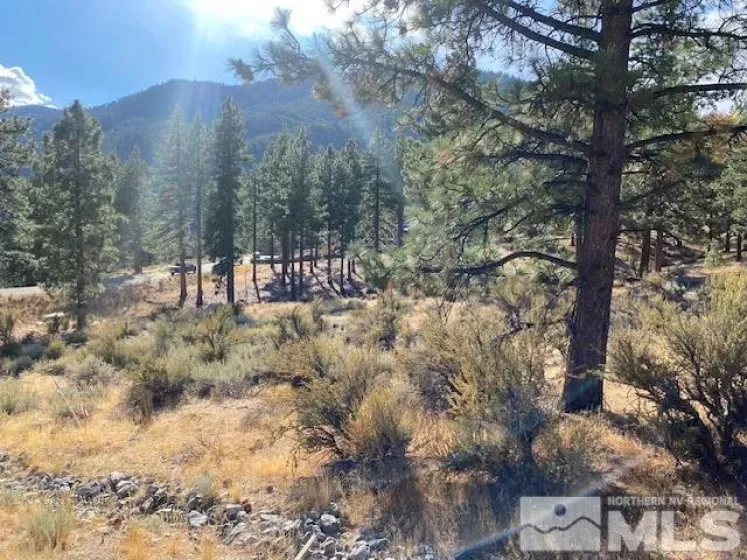 196 Scenic Range, Carson City, Nevada 89705, ,Land,Residential,Scenic Range,240013109