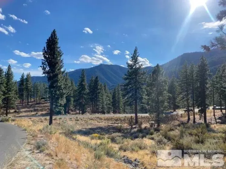 196 Scenic Range, Carson City, Nevada 89705, ,Land,Residential,Scenic Range,240013109