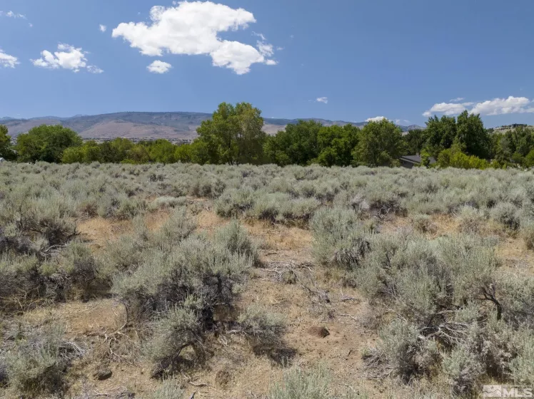 17 Glenhaven, Reno, Nevada 89511, ,Land,Residential,Glenhaven,240012637