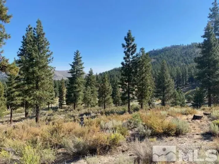 3253 Summit Camp, Carson City, Nevada 89705, ,Land,Residential,Summit Camp,240011236