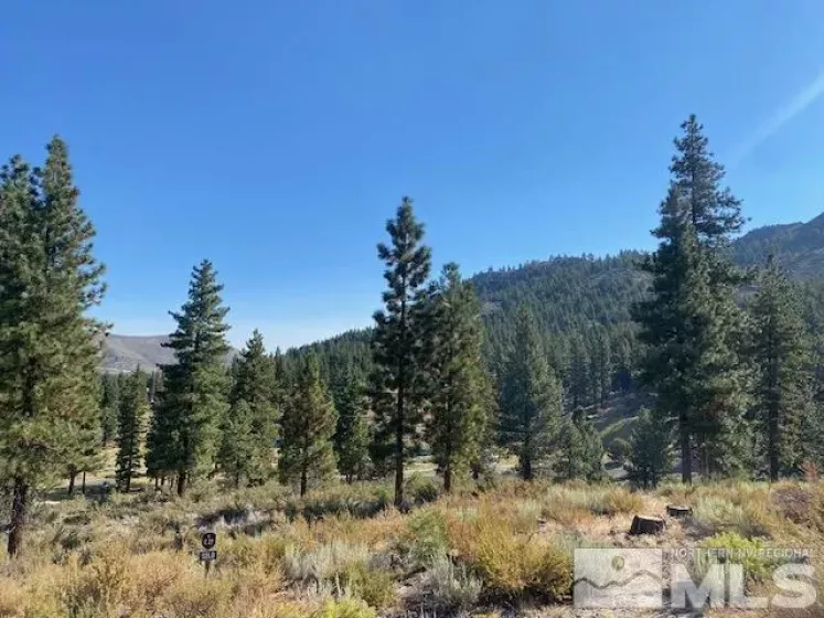 3253 Summit Camp, Carson City, Nevada 89705, ,Land,Residential,Summit Camp,240011236