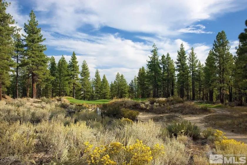 292 Gray Mill, Carson City, Nevada 89705, ,Land,Residential,Gray Mill,240011429
