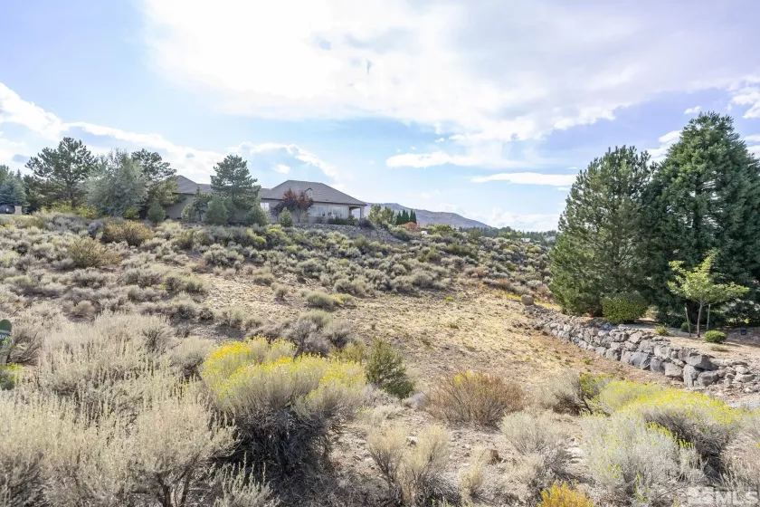 4795 Buckhaven, Reno, Nevada 89519, ,Land,Residential,Buckhaven,240012128