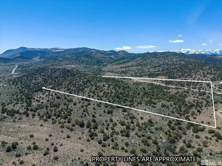 14A Lousetown, Reno, Nevada 89521, ,Land,Residential,Lousetown,240005606