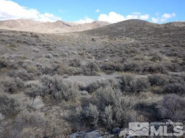 11230 Winter River, Lovelock, Nevada 89419, ,Land,Residential,Winter River,240000993