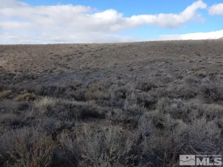 11230 Winter River, Lovelock, Nevada 89419, ,Land,Residential,Winter River,240000993