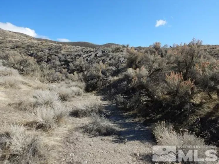 11230 Winter River, Lovelock, Nevada 89419, ,Land,Residential,Winter River,240000993