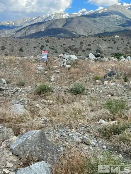 393 Golden Willow, Walker Lake, Nevada 89415, ,Land,Residential,Golden Willow,240000001