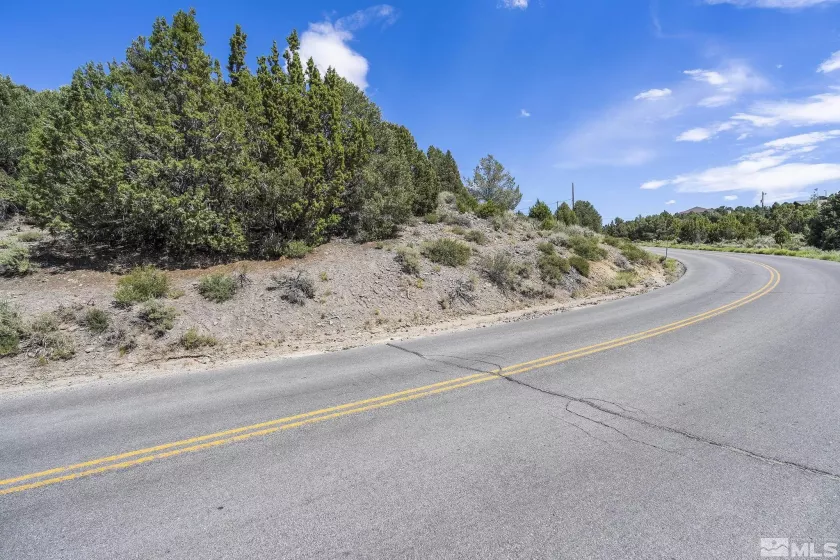 1853 Lousetown, Reno, Nevada 89521, ,Land,Residential,Lousetown,230008927