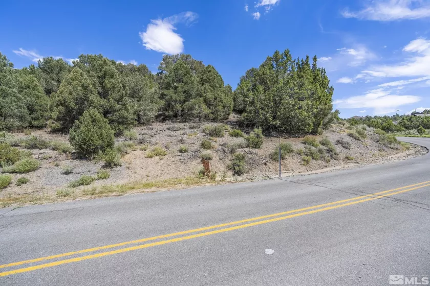 1853 Lousetown, Reno, Nevada 89521, ,Land,Residential,Lousetown,230008927