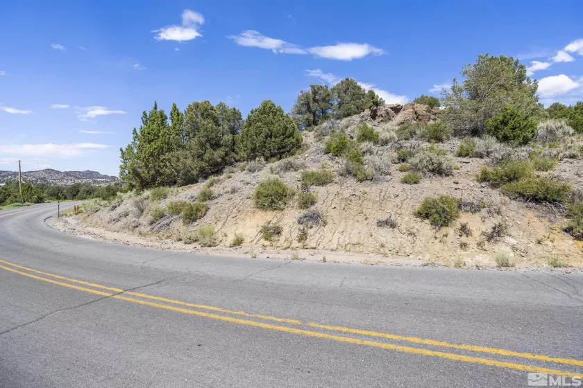 1853 Lousetown, Reno, Nevada 89521, ,Land,Residential,Lousetown,230008927