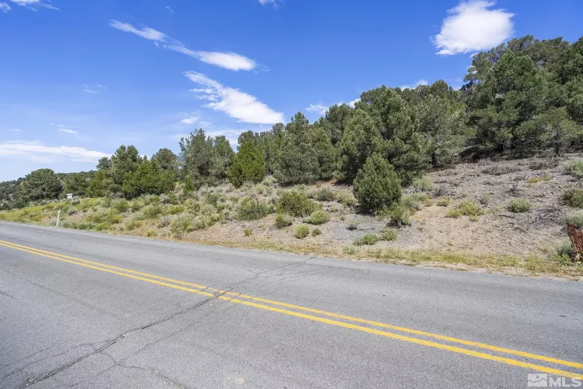 1853 Lousetown, Reno, Nevada 89521, ,Land,Residential,Lousetown,230008927