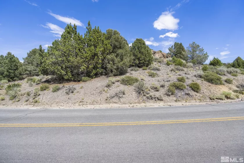 1853 Lousetown, Reno, Nevada 89521, ,Land,Residential,Lousetown,230008927