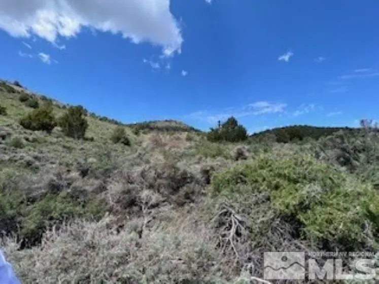 4720 Lost Burro, Virginia City, Nevada 89521, ,Land,Residential,Lost Burro,240006781