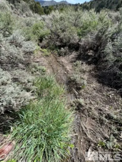 4720 Lost Burro, Virginia City, Nevada 89521, ,Land,Residential,Lost Burro,240006781