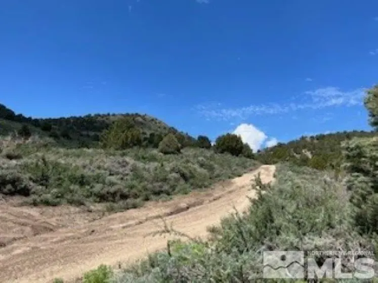 4720 Lost Burro, Virginia City, Nevada 89521, ,Land,Residential,Lost Burro,240006781