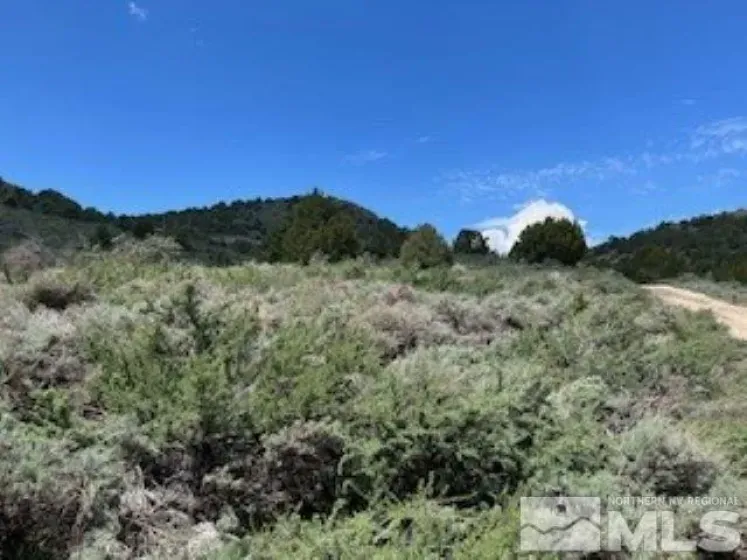 4720 Lost Burro, Virginia City, Nevada 89521, ,Land,Residential,Lost Burro,240006781