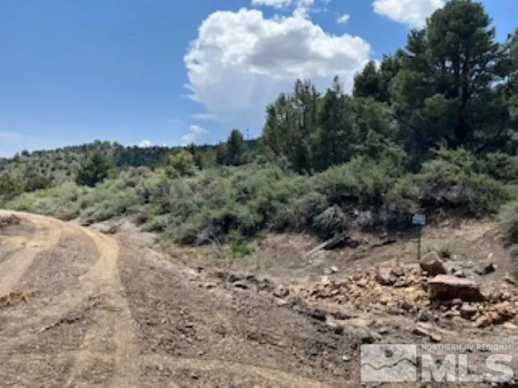 4720 Lost Burro, Virginia City, Nevada 89521, ,Land,Residential,Lost Burro,240006781