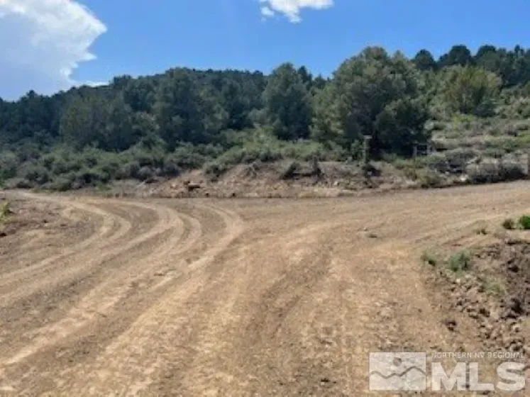 4720 Lost Burro, Virginia City, Nevada 89521, ,Land,Residential,Lost Burro,240006781