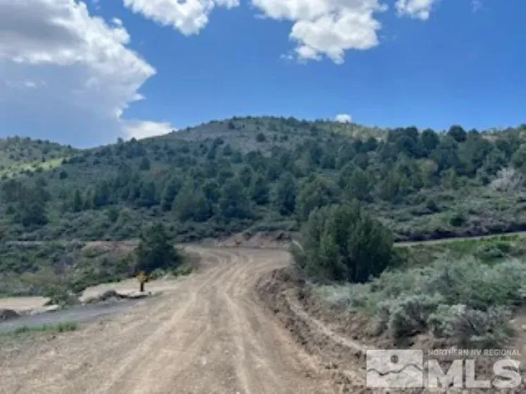 4720 Lost Burro, Virginia City, Nevada 89521, ,Land,Residential,Lost Burro,240006781