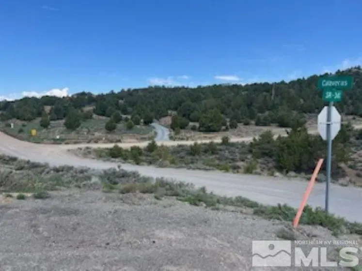4720 Lost Burro, Virginia City, Nevada 89521, ,Land,Residential,Lost Burro,240006781