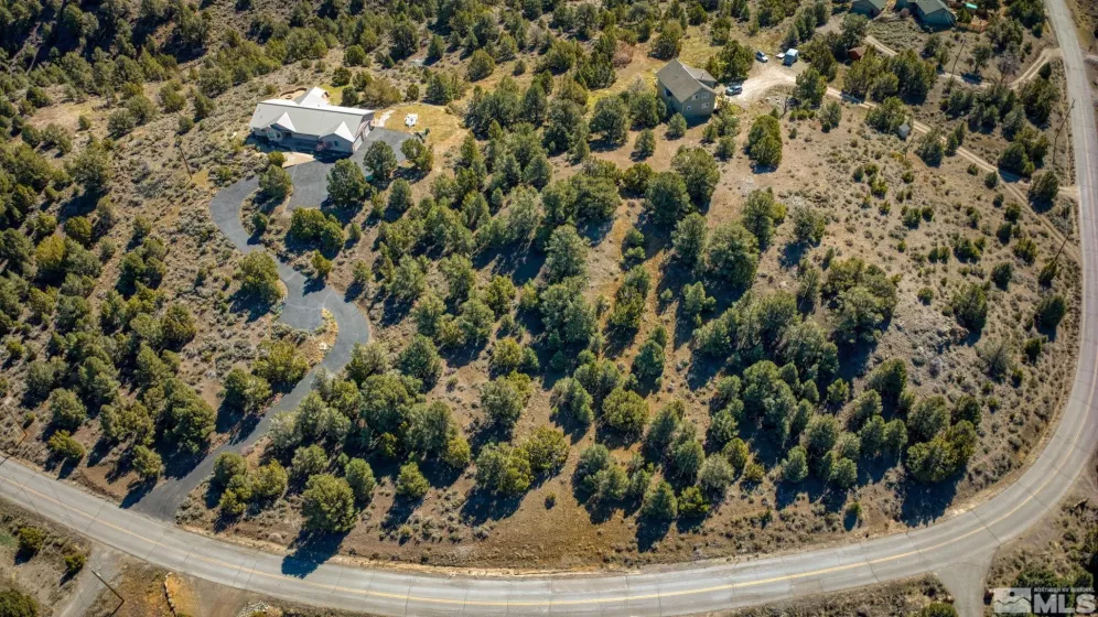 1859 Lousetown, Reno, Nevada 89521, ,Land,Residential,Lousetown,240004424