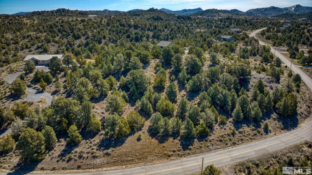 1859 Lousetown, Reno, Nevada 89521, ,Land,Residential,Lousetown,240004424
