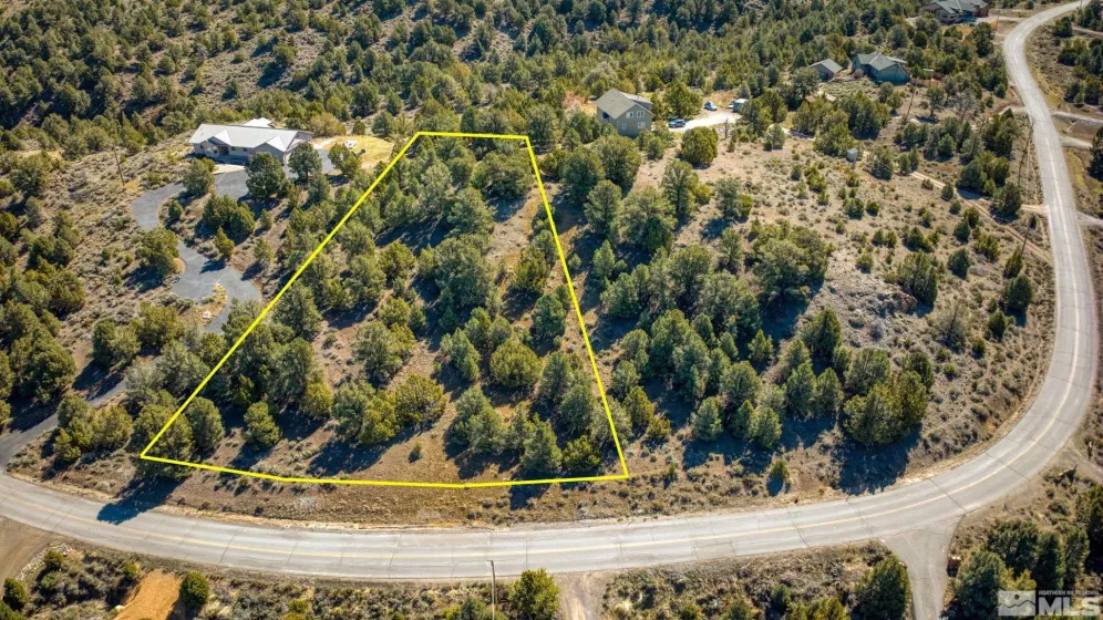 1859 Lousetown, Reno, Nevada 89521, ,Land,Residential,Lousetown,240004424