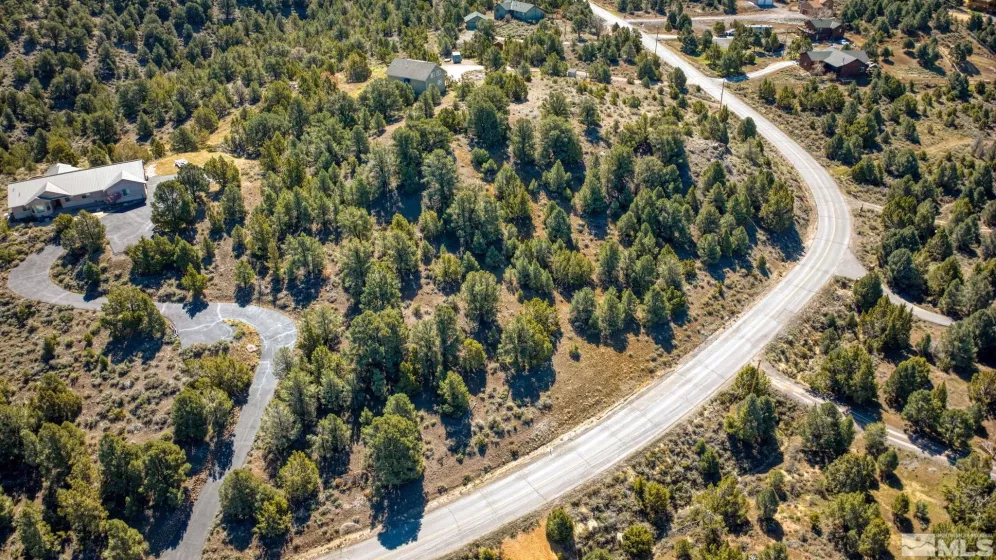 1859 Lousetown, Reno, Nevada 89521, ,Land,Residential,Lousetown,240004424