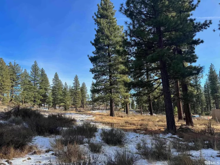 3385 Golf Club, Carson City, Nevada 89705, ,Land,Residential,Golf Club,240000145